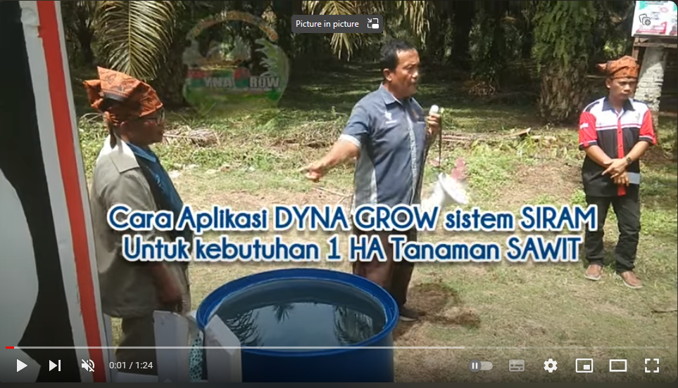 Read more about the article CARA MEMUPUK SAWIT DENGAN SISTEM SIRAM PAKAI DYNA GROW