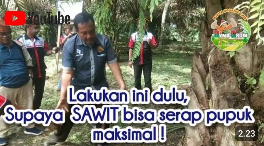 Read more about the article CARA MENINGKATKAN DAYA SERAP PUPUK PADA SAWIT