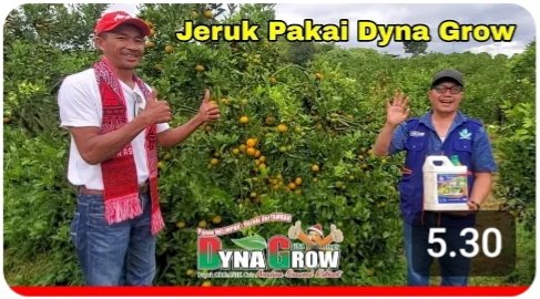 Read more about the article JERUK PAKAI DYNA GROW
