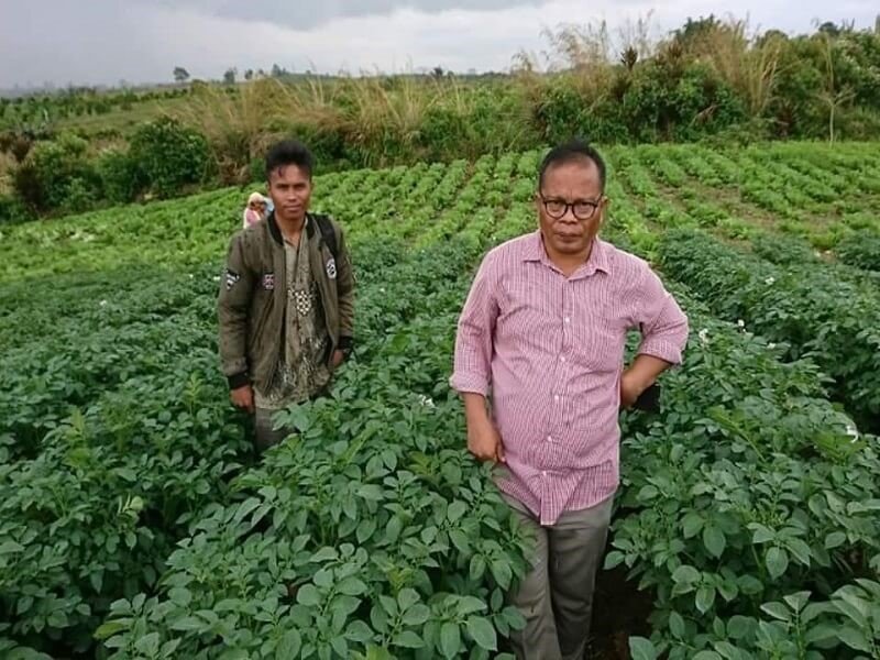 Read more about the article PANEN KENTANG MENINGKAT 30 PERSEN