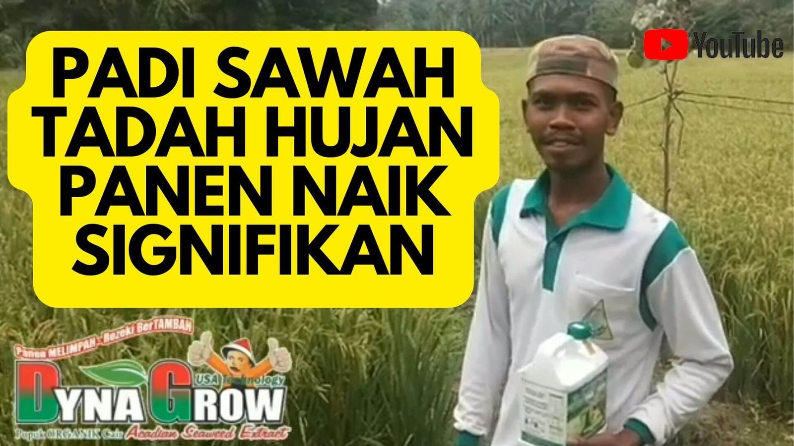 Read more about the article PADI SAWAH TADAH HUJAN PANEN NAIK SIGNIFIKAN