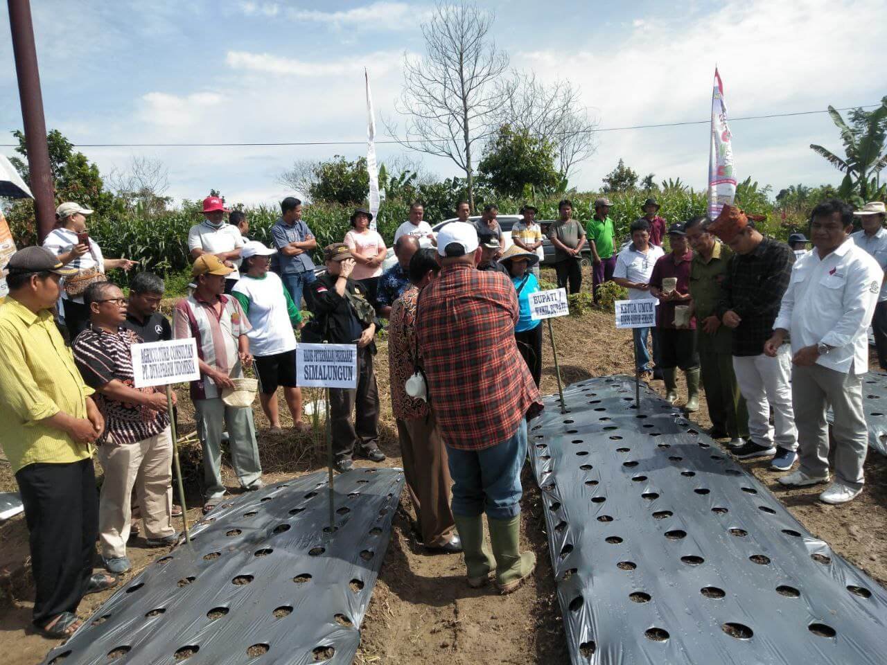 Read more about the article PENANAMAN PERDANA TANAMAN BAWANG DI NAGORI SIMBOLON TENGKOH