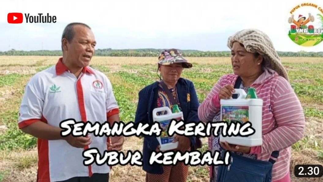 Read more about the article SEMANGKA KERITING SUBUR KEMBALI
