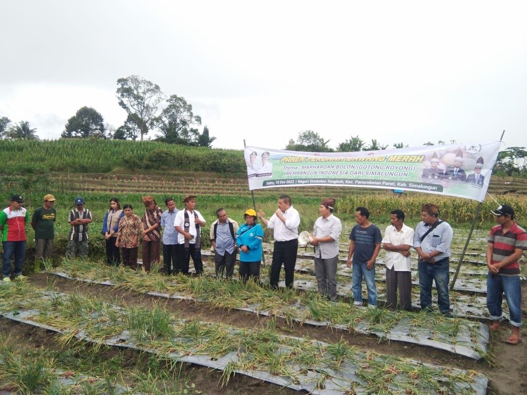 Read more about the article PANEN PERDANA BAWANG MERAH DENGAN MENGGUNAKAN POC DYNA GROW