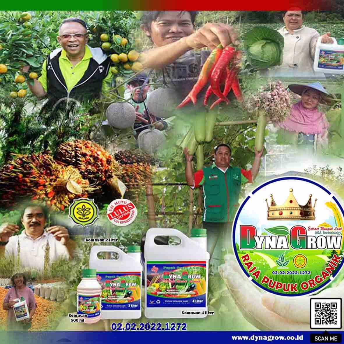 Read more about the article 5 ALASAN MENGAPA TESTIMONI PRODUK PENTING