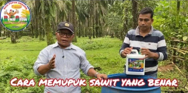 Read more about the article CARA MEMUPUK SAWIT DENGAN DYNA GROW