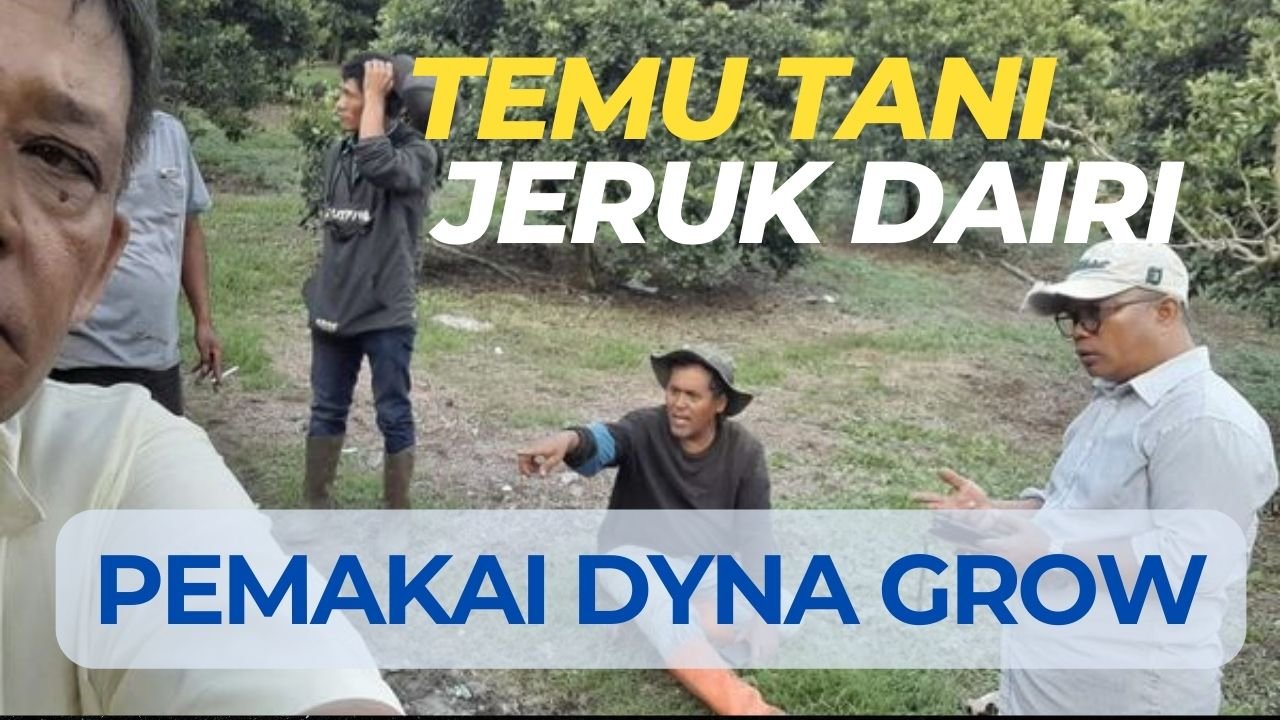 Read more about the article PERTEMUAN PETANI JERUK DAIRI