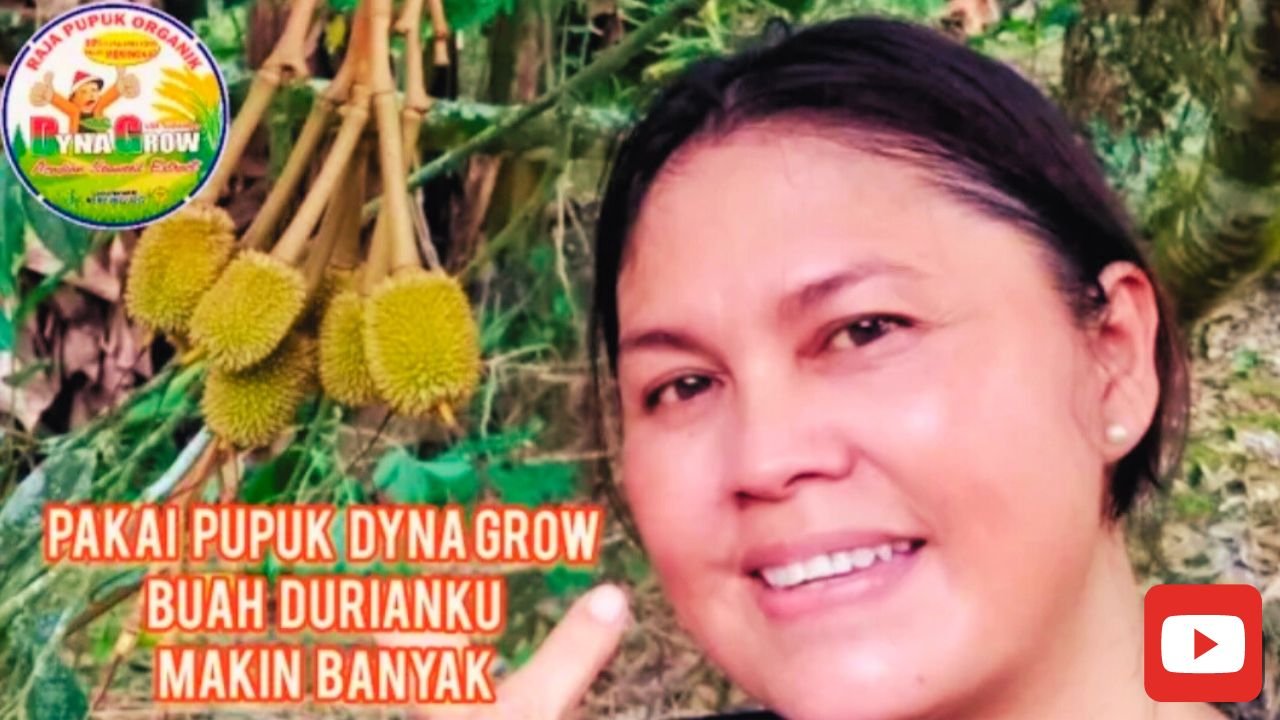 Read more about the article DYNA GROW BIKIN BUAH DURIAN MAKIN BANYAK