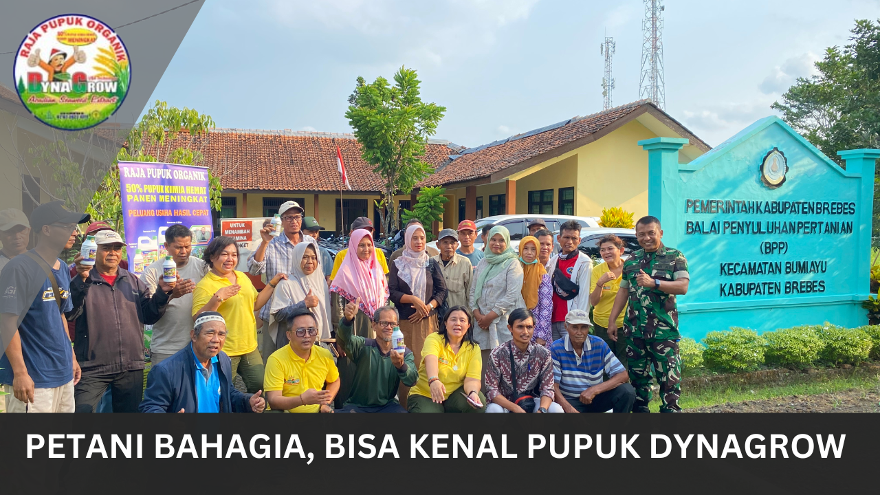 Read more about the article PETANI BAHAGIA BISA KENAL PUPUK DYNAGROW