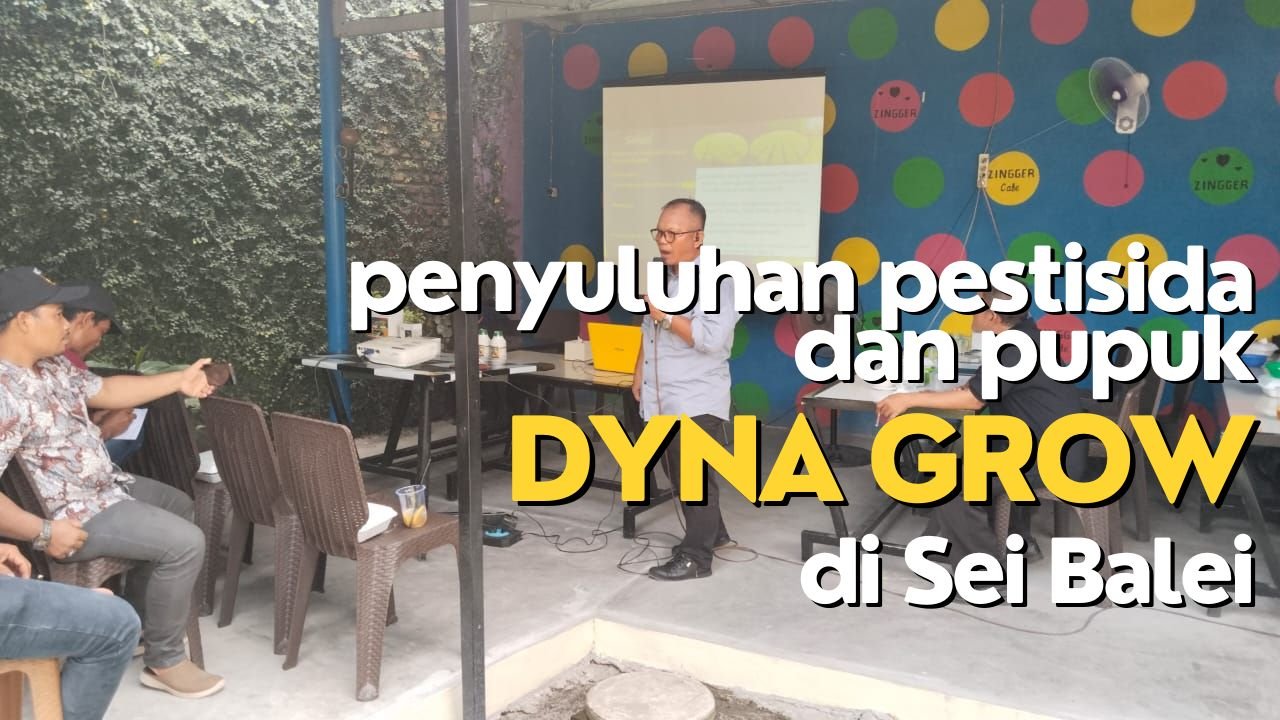 Read more about the article PENYULUHAN APLIKASI PESTISIDA DAN PUPUK DYNA GROW DI SEI BALEI