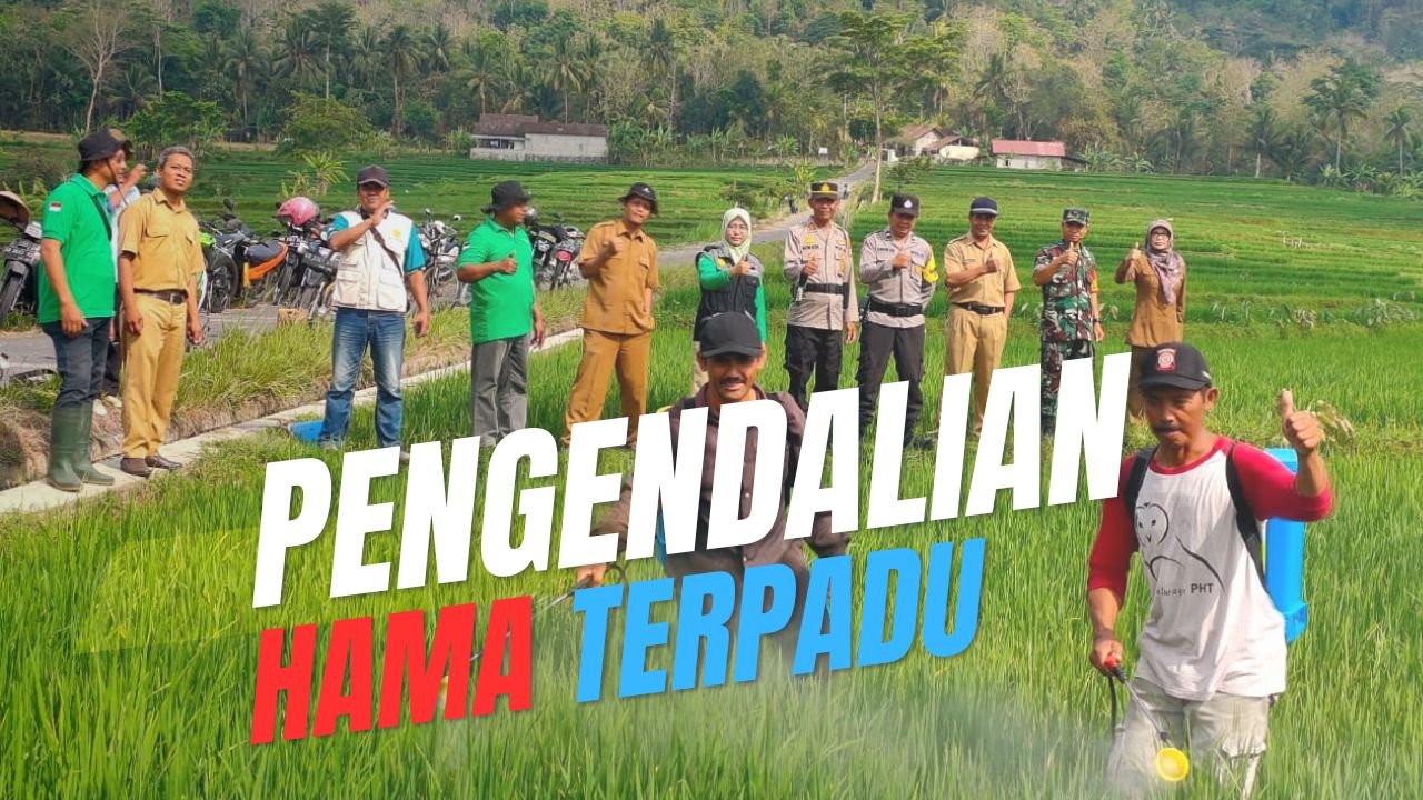 Read more about the article PENGENDALIAN HAMA TERPADU