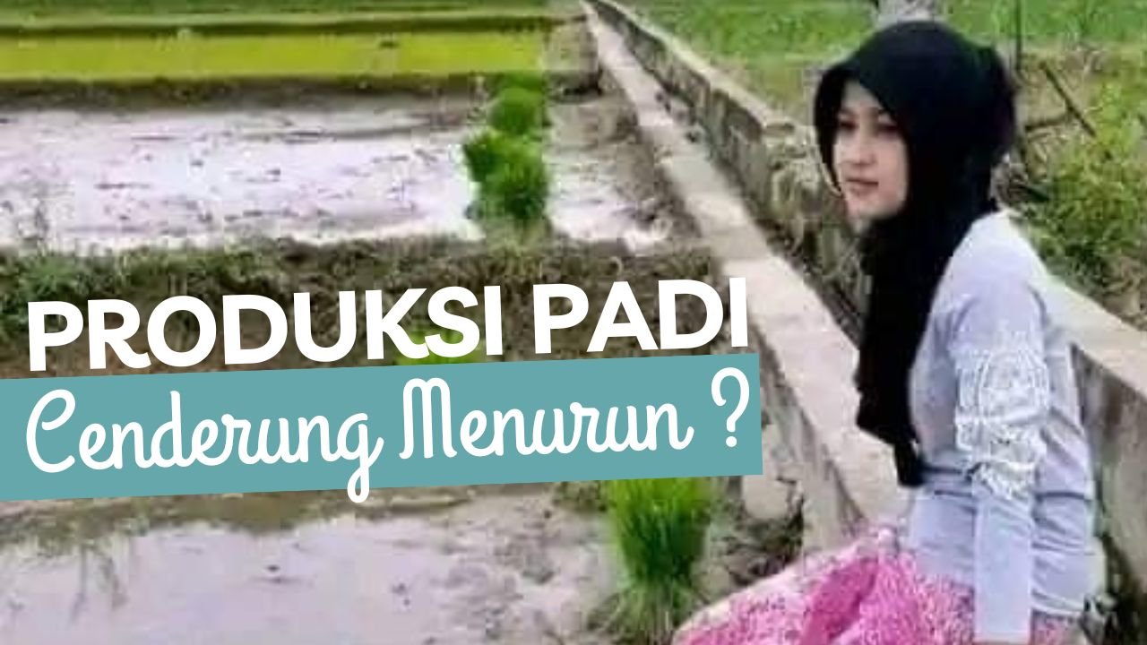 Read more about the article PRODUKSI PADI INDONESIA CENDERUNG MENURUN