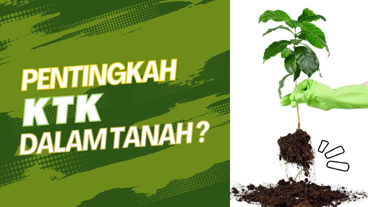 Read more about the article KTK TANAH
