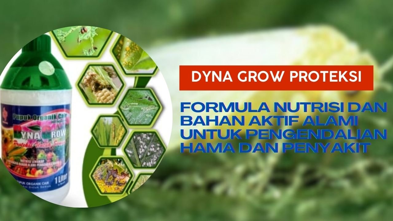 Read more about the article DYNA GROW PROTEKSI