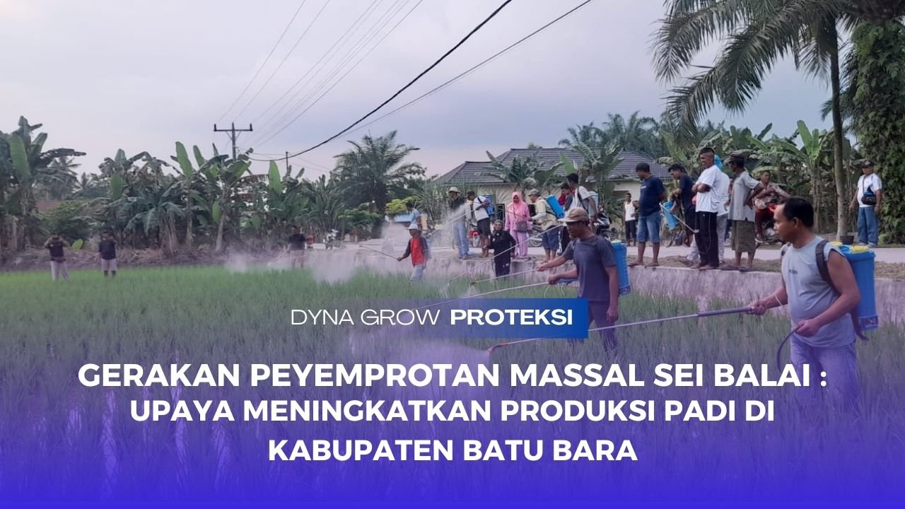 Read more about the article GERAKAN PENYEMPROTAN MASSAL SEI BALEI