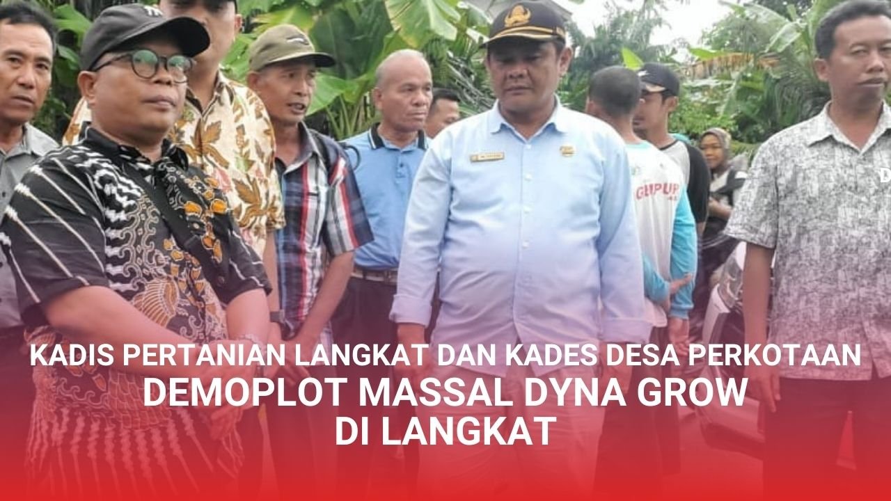 Read more about the article DEMOPLOT MASSAL DYNA GROW LANGKAT