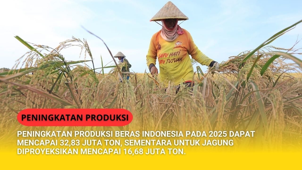 Read more about the article PENINGKATAN PRODUKSI PERTANIAN TANAMAN PANGAN