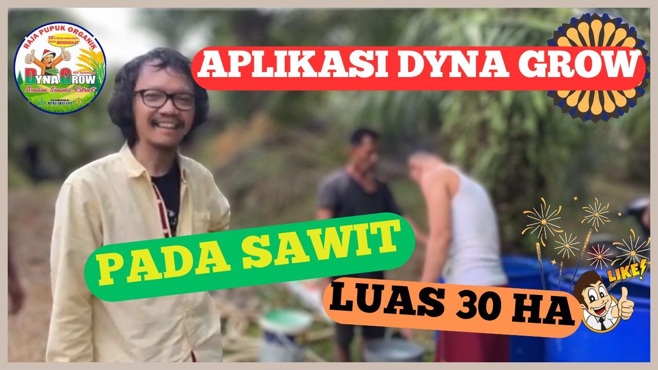 Read more about the article KEGIATAN APLIKASI DYNA GROW PADA SAWIT