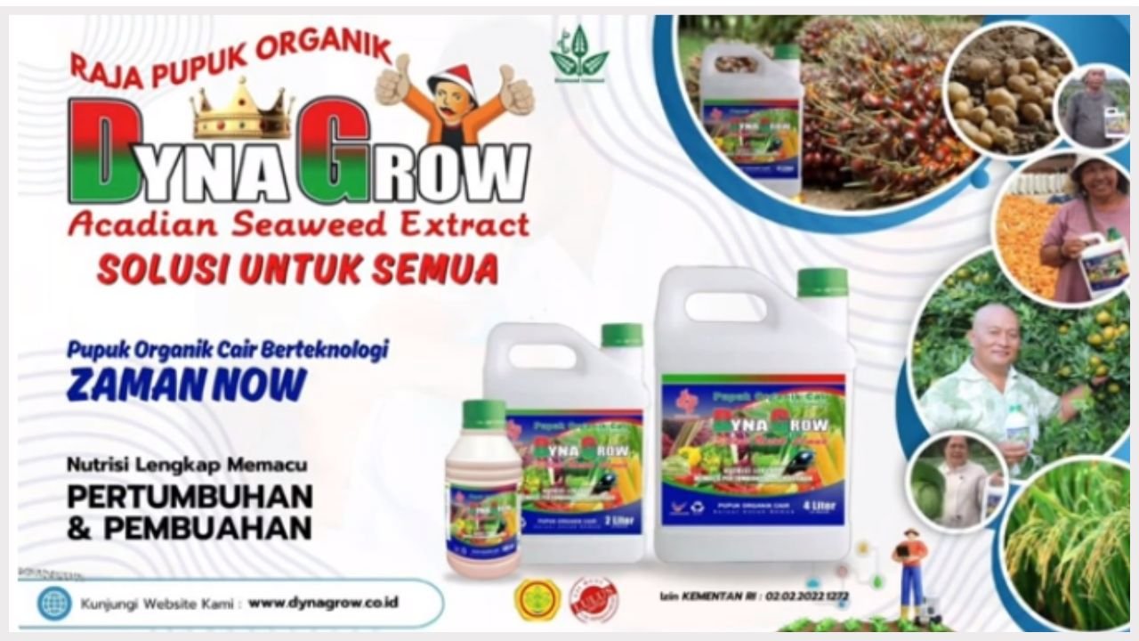 Read more about the article CARA APLIKASI DYNA GROW PADA SAWIT