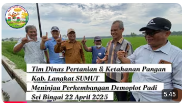 Read more about the article BUKTI NYATA HASIL PENYEMPROTAN DYNA GROW KE 3 PADA TANAMAN PADI