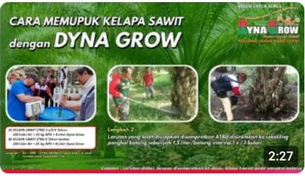 Read more about the article CARA APLIKASI RAJA PUPUK ORGANIK DYNA GROW PADA SAWIT