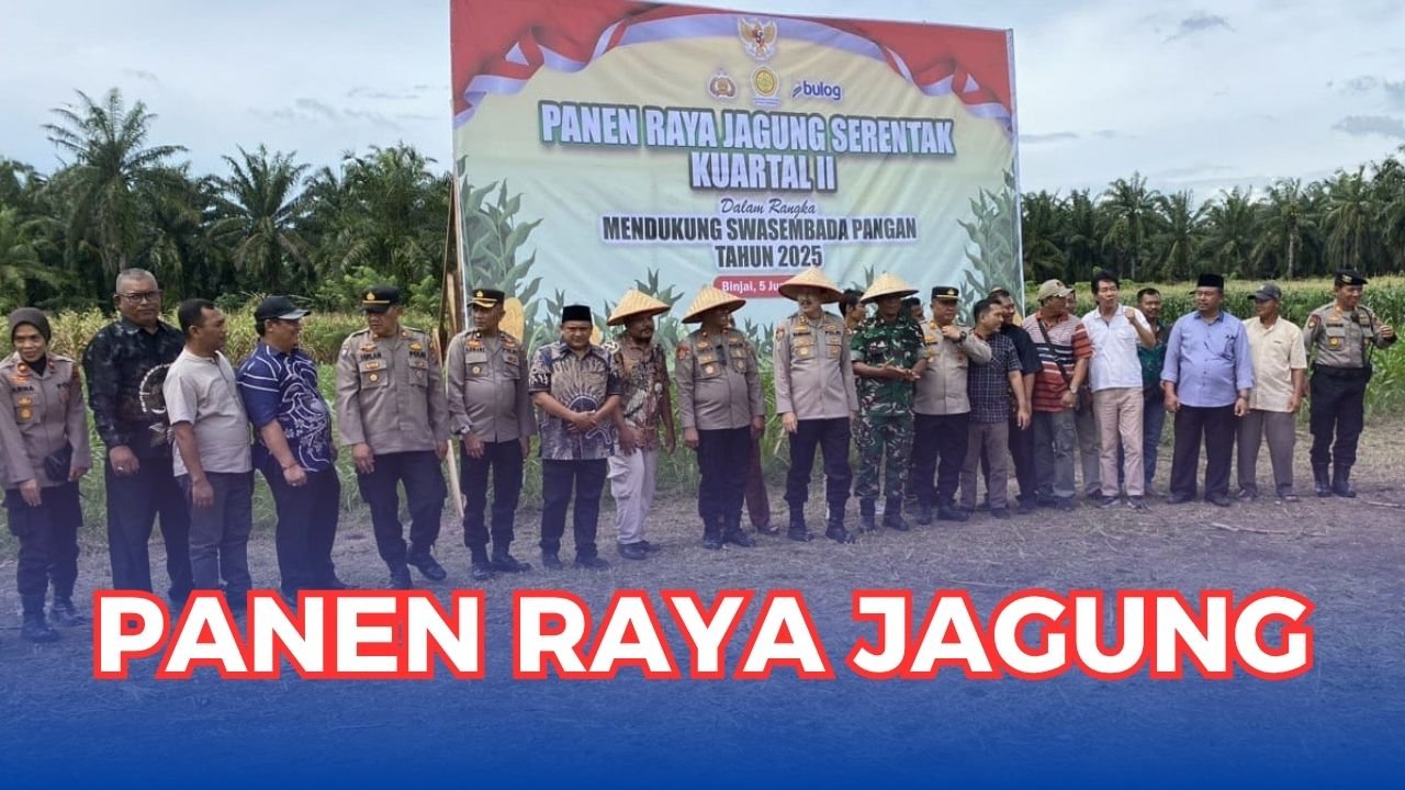 Read more about the article PANEN RAYA JAGUNG