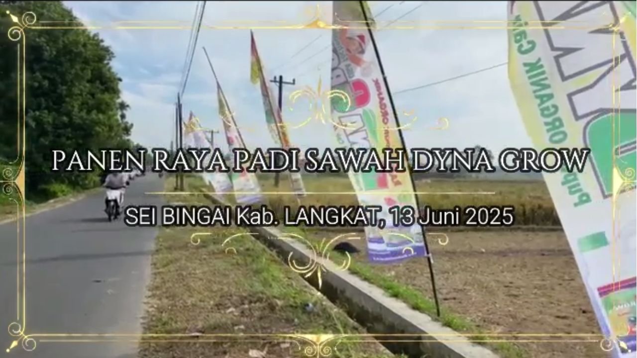 Read more about the article DYNA GROW PANEN RAYA PADI