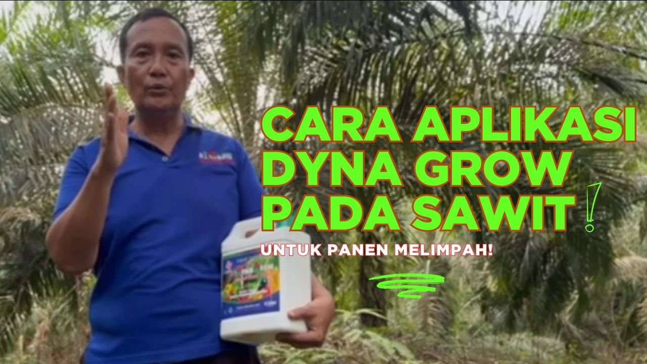 Read more about the article CARA APLIKASI RAJA PUPUK ORGANIK PADA TANAMAN SAWIT