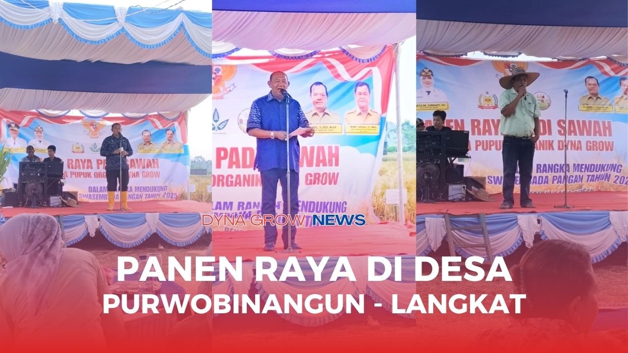 Read more about the article PANEN RAYA PADI DESA PURWOBINANGUN LANGKAT